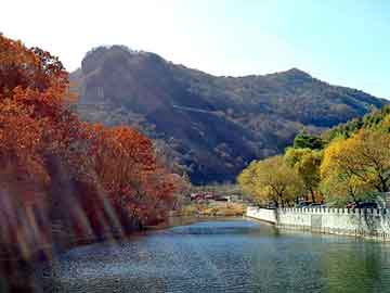 新澳天天开奖资料大全旅游团，太平间的闹鬼事件